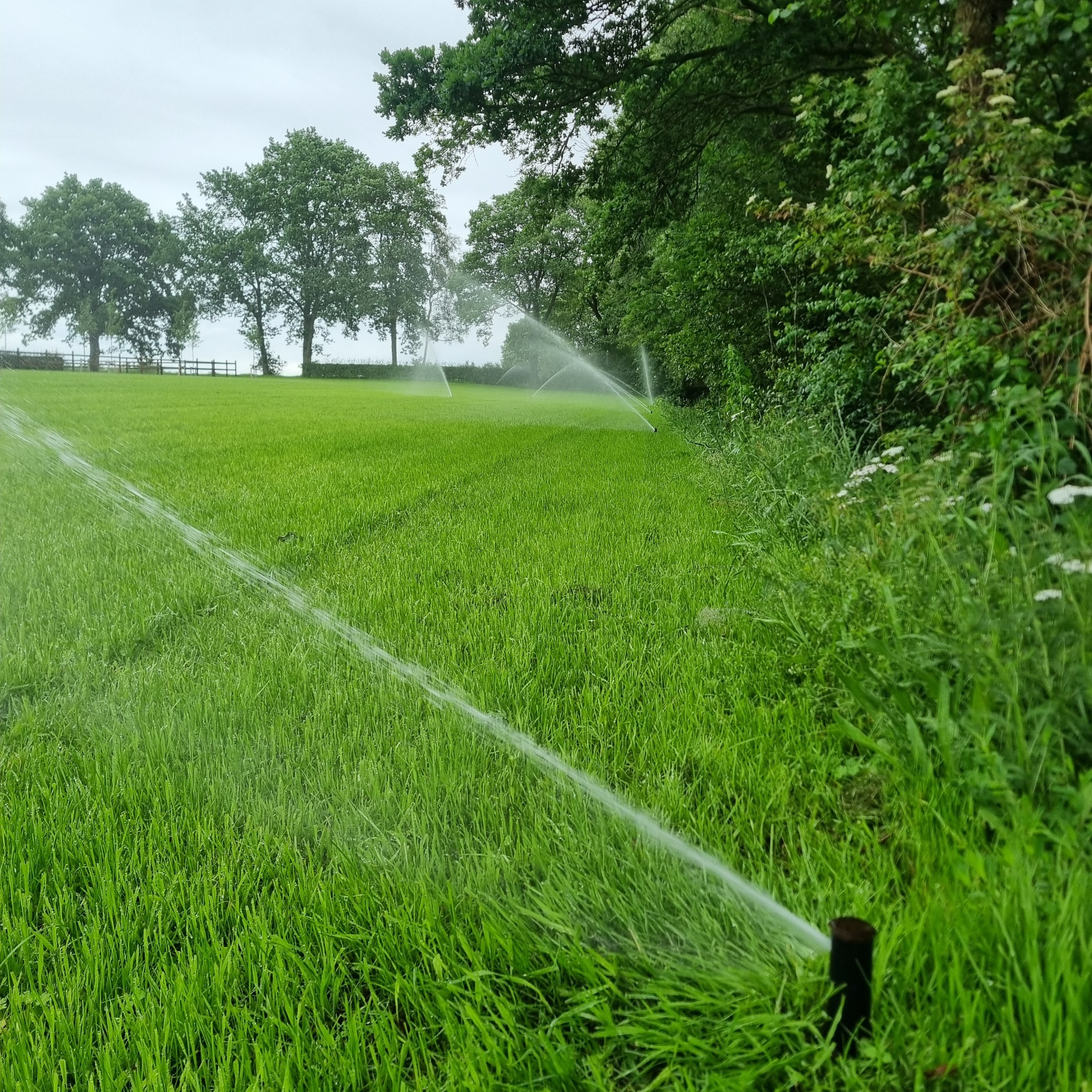 Beregening van groot gazon